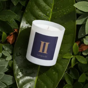 Luxury scented candle in a glass jar with a large leaf background